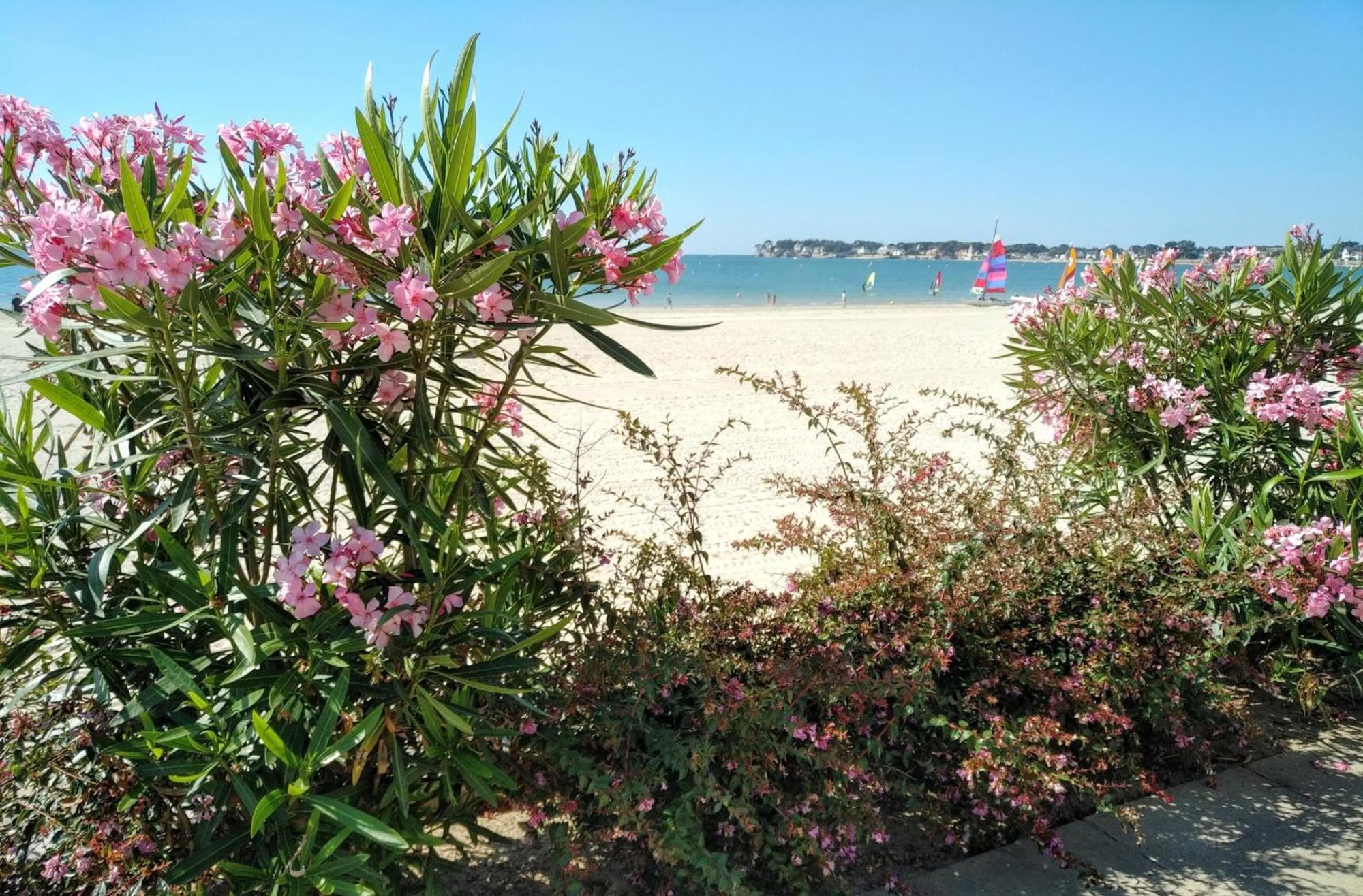 Le Capitole - Studio Plage Benoit Dans Residence Face Mer La Baule-Escoublac ภายนอก รูปภาพ